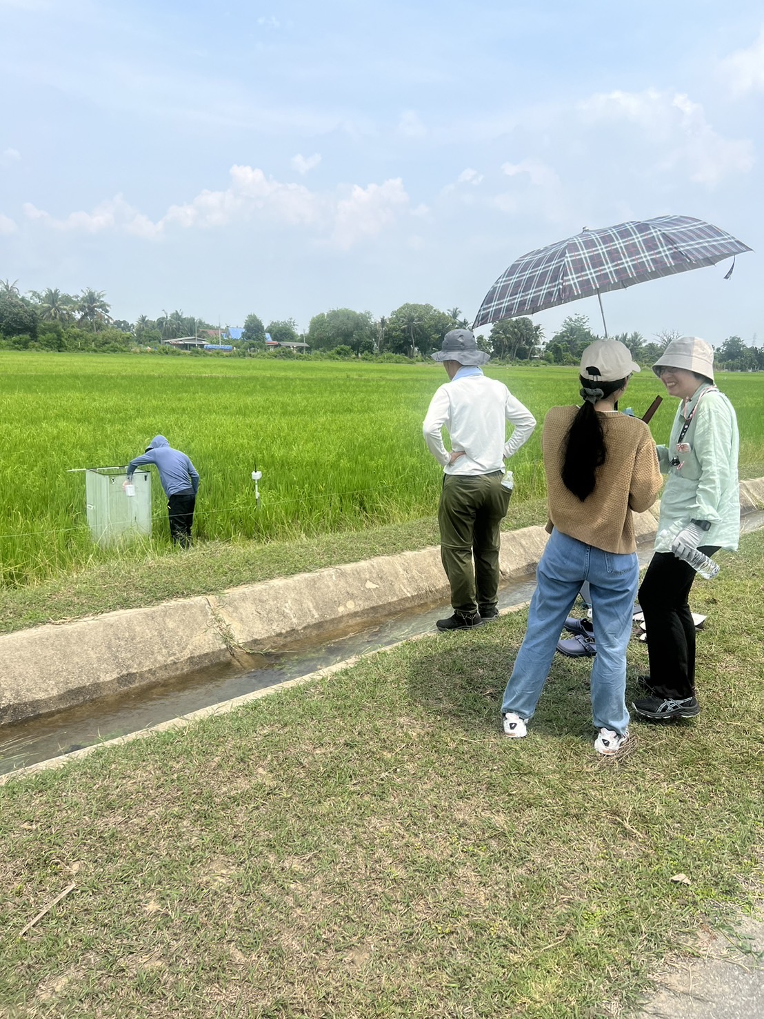 To install a methane gas level sensor in a rice field at Nakhonphathom province